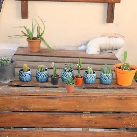 La Casa Carina 호텔 3*
